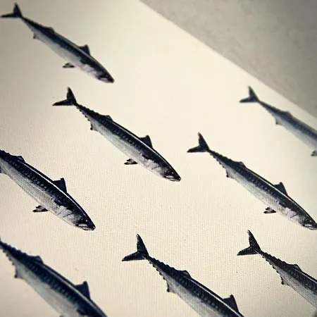 Il Portico Lägenhet