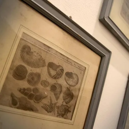 Lägenhet Il Portico Monterosso al Mare