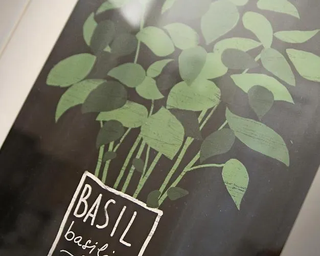 Il Portico * 蒙特罗索阿尔马雷